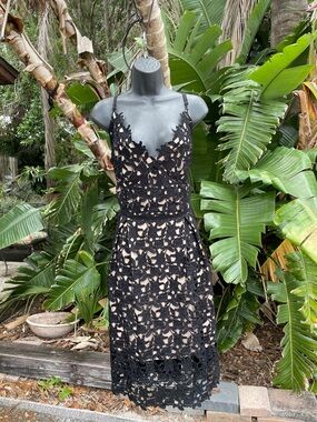 City chic  semi share lace dress